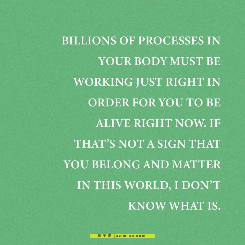 BILLIONS OF PROCESSES IN YOUR BODY MUST BE WORKING JUST RIGHT IN ORDER FOR YOU TO BE ALIVE RIGHT NOW.IF THAT’S NOT A SIGN THAT YOU BELONG AND MATTER IN THIS WORLD,I DON’T KNOW WHAT IS.