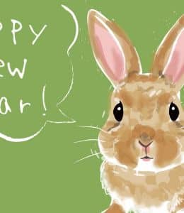 Happy New Year！