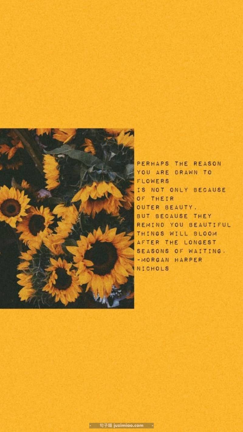 PERHAPS THE REASON YOU ARE DRAWN TO FLOWERS IS NOT ONLY BECAUSE OF THEIR OUTER BEAUTY. BUT BECAUSE THEY REMINO YOU BEAUTIFUL THINGS WILL BLOOM AFTER THE LONGEST SEASONS OF WAITING. -MORGAN HARPER INICHOLS