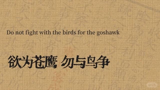 Do not fight with the birds for the goshawk 欲为苍鹰，勿与鸟争
