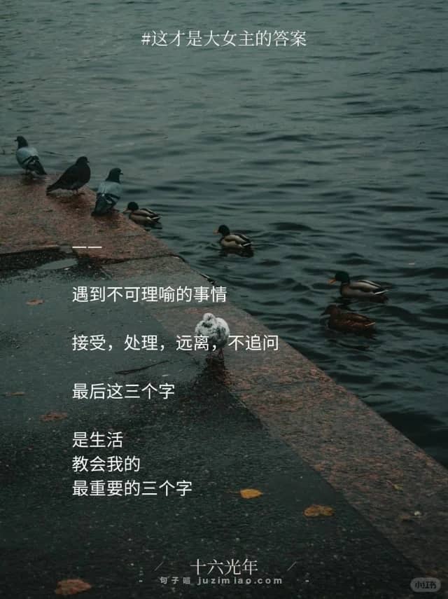 遇到不可理喻的事情，接受，处理，远离，不追问。最后这三个字是生活教会我的最重要的三个字！